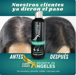 SHAMPO CUBRE CANAS ANGELES - ENVIO GRATIS + 2 OBSEQUIOS