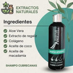 SHAMPO CUBRE CANAS ANGELES - ENVIO GRATIS + 2 OBSEQUIOS