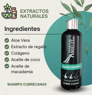 SHAMPO CUBRE CANAS ANGELES - ENVIO GRATIS + 2 OBSEQUIOS