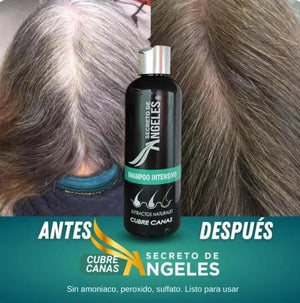 SHAMPO CUBRE CANAS ANGELES - ENVIO GRATIS + 2 OBSEQUIOS