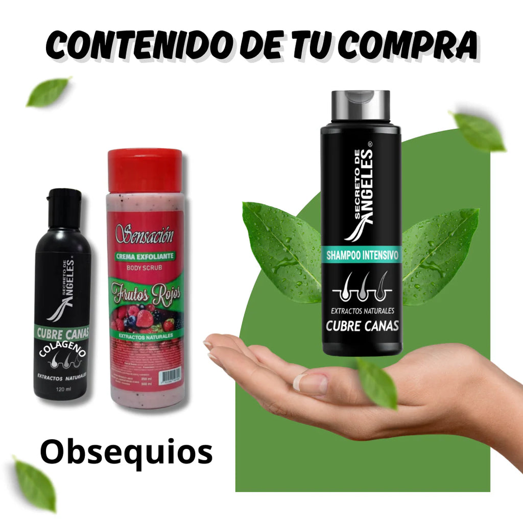 SHAMPO CUBRE CANAS ANGELES - ENVIO GRATIS + 2 OBSEQUIOS