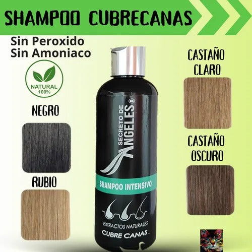 SHAMPO CUBRE CANAS ANGELES - ENVIO GRATIS + 2 OBSEQUIOS